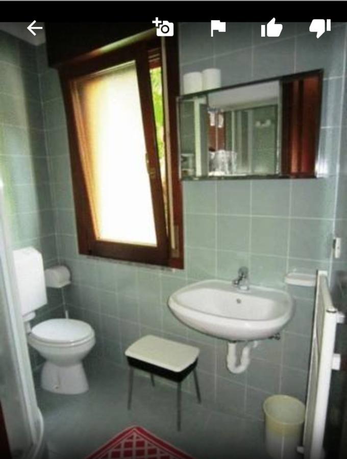 Albergo Alla Pineta Villa Santina Экстерьер фото